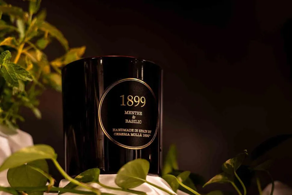 Świeca Premium 230gr. Menthe and Basilic