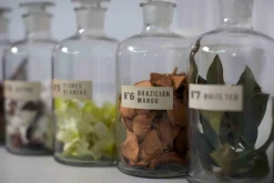 Świeca XL 600gr. Basil and Mandarin