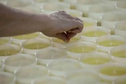 Świeca XL 600gr. Moroccan Cedar