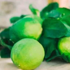 Świeca XXL 3,5kg. Bergamotto di Calabria