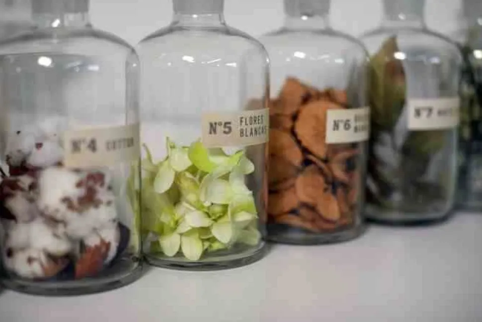 Świeca XXL 3,5kg. Black Orchid and Lily