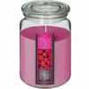 Świeca zapachowa Nina Malina 510 g