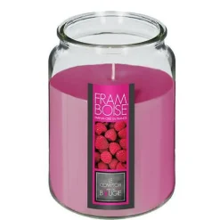 Świeca zapachowa Nina Malina 510 g