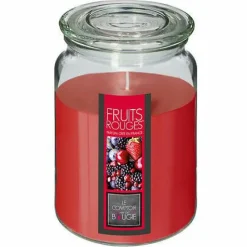 Świeca zapachowa Nina Owoce Leśne 510 g