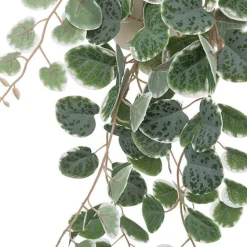 Wisząca roślina 30 cm z plastikową        doniczką