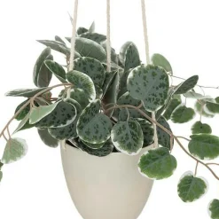 Wisząca roślina 30 cm z plastikową        doniczką