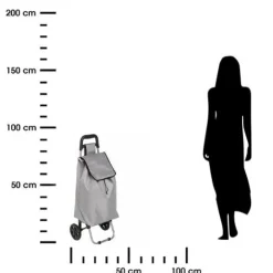 Wózek na zakupy Aquarelle z 2 kołami szary
