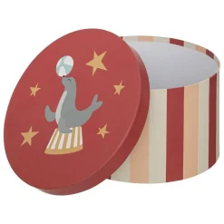 Zestaw 3 pudełek Circu